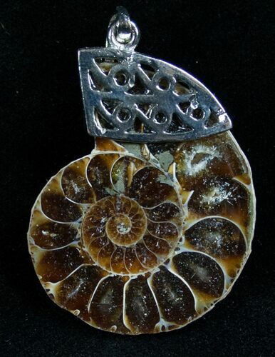 Ammonite Fossil Pendant #7076